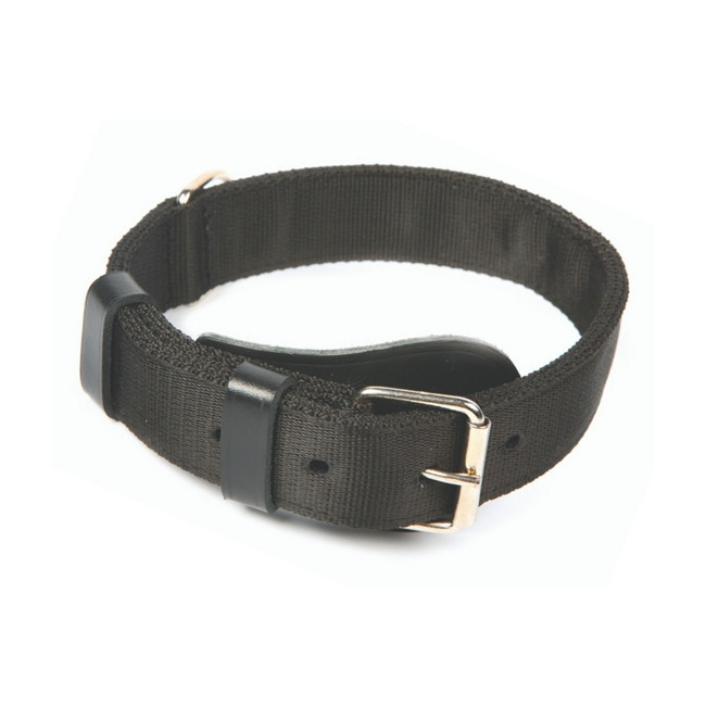 Dingo Obroża specjalna z taśmy 4,0x55-65cm czarna