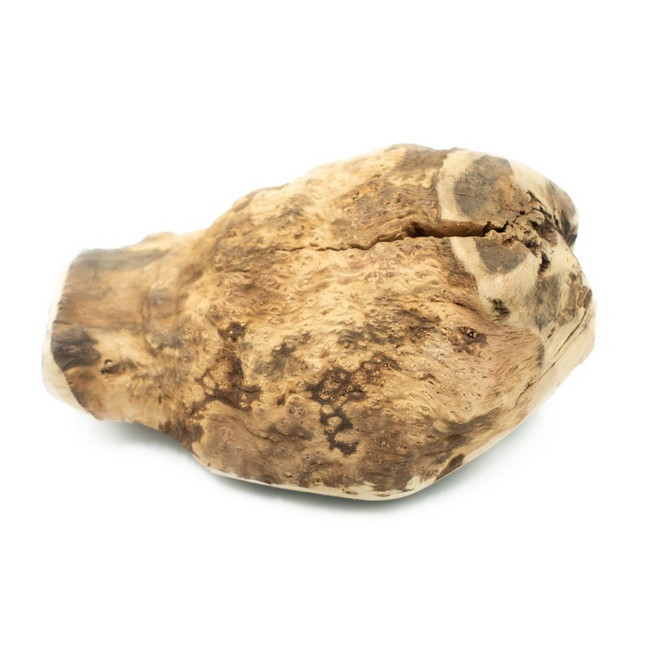 4DOGS Gryzak z korzenia drzewa wrzosowego XL