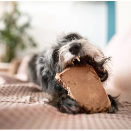 4DOGS Gryzak z korzenia drzewa wrzosowego XL