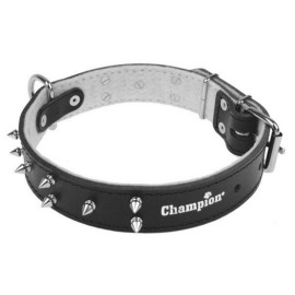 Champion Obroża Skórzana zdobiona [ZD 60/3,5 KOL]