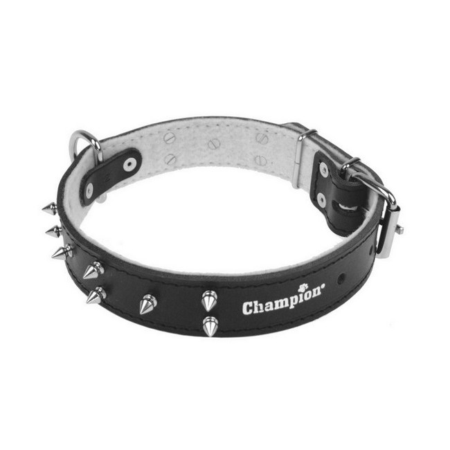 Champion Obroża Skórzana zdobiona [ZD 60/3,5 KOL]