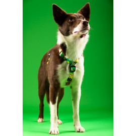 CHABA Szelki Guard Story III XL 3,0cm Jumbo