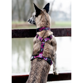 CHABA Szelki Guard Story III XL 3,0cm Lakota