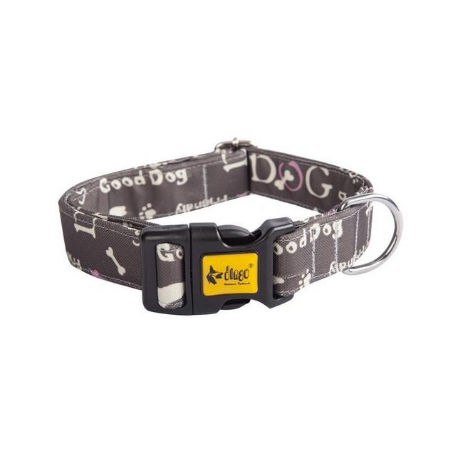 Dingo Obroża regulowana America Nevada 4,0cm/75cm