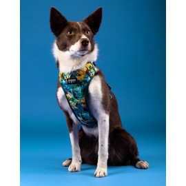 CHABA Szelki Guard Comfort Story III bezuciskowe M 1,6cm Carnival