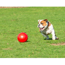 Boomer Ball M - 6" / 15cm czerwona