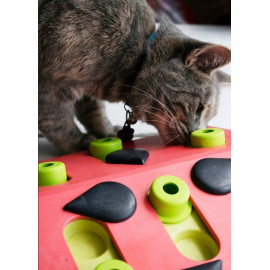 Nina Ottosson Cat Melon Madness Puzzle & Play - gra edukacyjna dla kotów