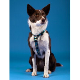 CHABA Szelki Guard Story III L 2,5cm Carnival