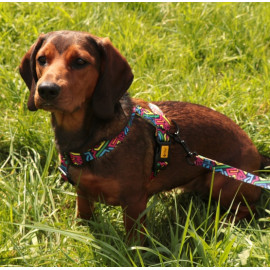 Dingo Szelki dwupaskowe Guard City - Graffiti rozmiar M