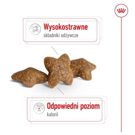 Royal Canin Mini Adult karma sucha dla psów dorosłych, ras małych 2kg