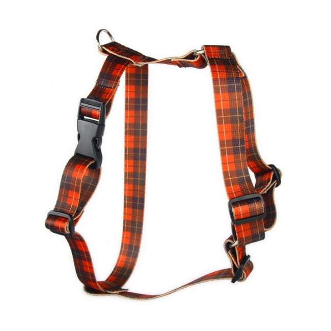 Matteo Szelki Guard 30mm szkocka krata