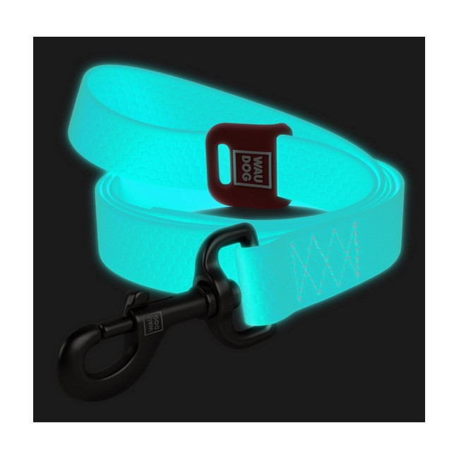 Collar WauDog Waterproof Smycz wodoodporna akumulująca światło M 20mm/183cm