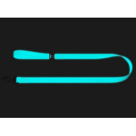 Collar WauDog Waterproof Smycz wodoodporna akumulująca światło M 20mm/183cm